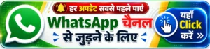 sarkaribindu.com